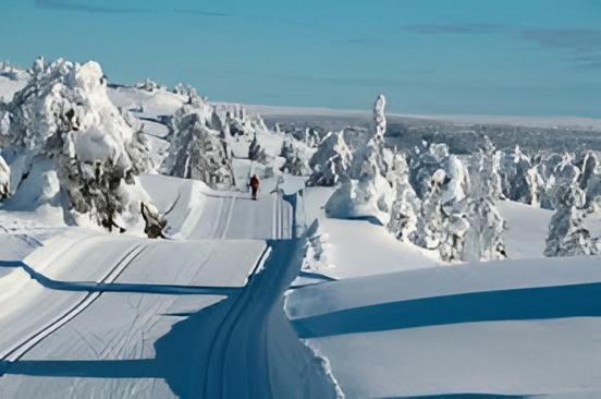 Fantastic And High Standard Apartment In Nordseter Lillehammer Esterno foto