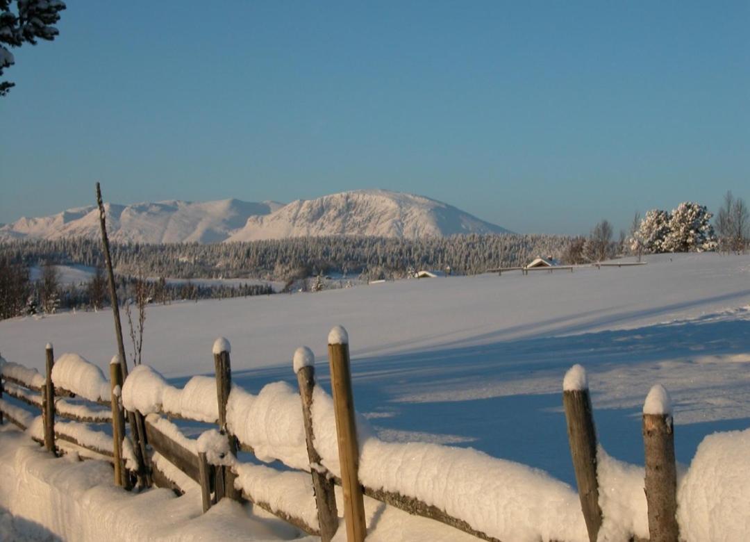 Fantastic And High Standard Apartment In Nordseter Lillehammer Esterno foto